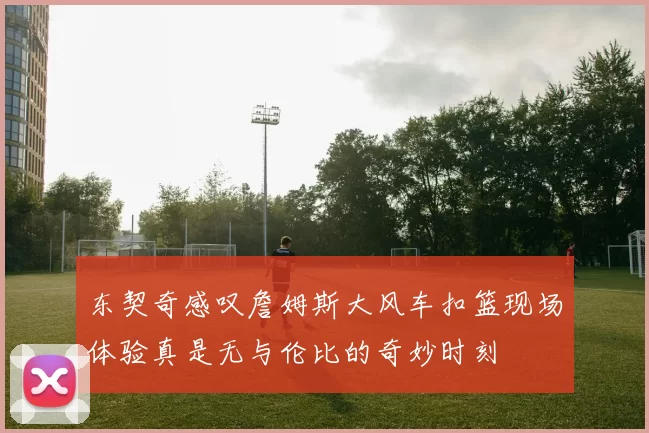 东契奇感叹詹姆斯大风车扣篮现场体验真是无与伦比的奇妙时刻