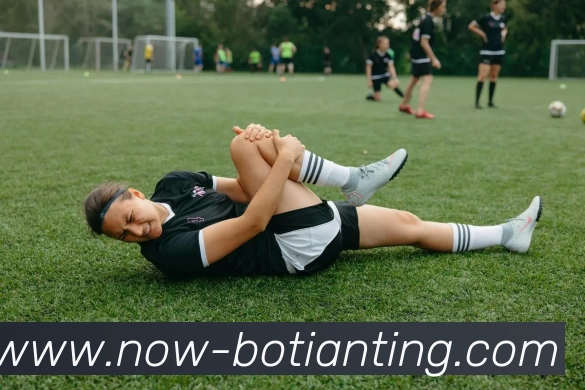 博天堂平台生态图